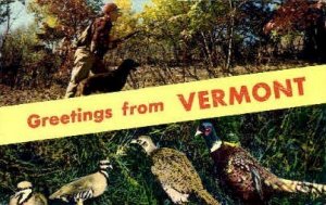 Greetings - Misc, Vermont VT Postcard
