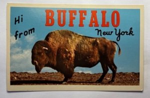 Vintage Postcard Hi From Buffalo, New York K1