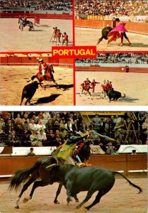 2~4X6 Postcards   Portugal   BULLFIGHTING SCENES   Bullfight & Matador