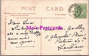 Kent Postcard - Penshurst Village  SW14693