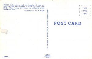 The Huts Palm Leaves - Misc, Texas TX Postcard