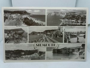 Vintage Postcard Multiview Sidmouth Devon  1954