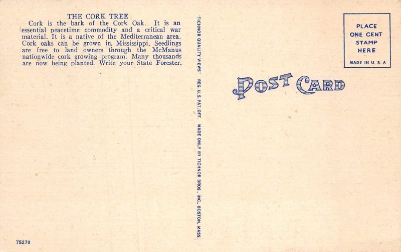 Jackson  Mississippi The Cork Tree, Multi-View Linen Vintage Postcard U15714