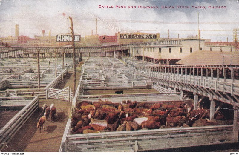 CHICAGO, Illinois, PU-1914; Cattle Pens & Runways, Uniion Stock Yards