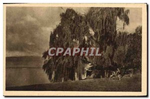 Postcard Old Lakeshore Messery Haute Savoie Leman