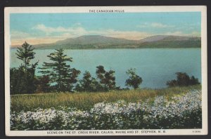 NB ST. STEPHEN Canadian Hills Scene on The St. Croix River, CALAIS Maine ~ WB