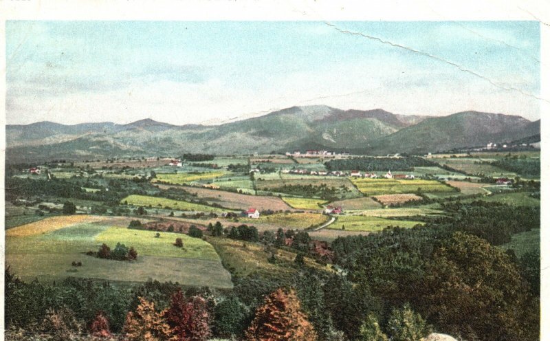 Vintage Postcard 1910's Aerial View Of The Mountain And Grounds Houses Forest