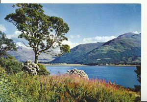 Scotland Postcard - Loch Linnhe from Onich - Inverness-shire - Ref 19775A