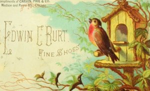 1870's-80's Carson, Pirie & Co. Edwin C. Burt Fine Shoes Bird Trade Card P73