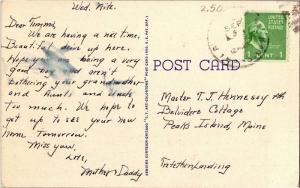 Exaggeration Potato, the Kind we Raise in Maine Vintage Postcard Y11