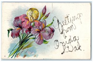 1908 Greetings From Onida South Dakota Posted Embossed Flowers & Leaves Postcard