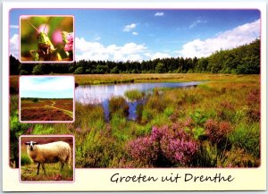 VINTAGE POSTCARD CONTINENTAL SIZE SCENED GREETINGS FROM DRENTHE NETHERLANDS