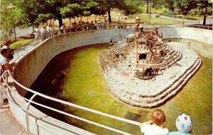 2~Postcards Hershey, PA Pennsylvania AMUSEMENT PARK~Roller Coaster & ZOO~Monkey