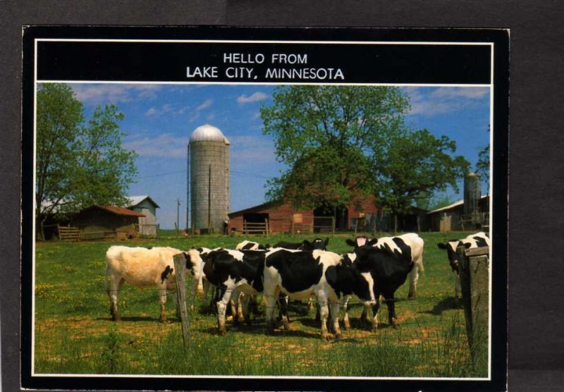 MN Hello From Lake City Minnesota Cows Silo Barn Farming Postcard