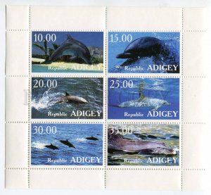 266529 RUSSIA ADIGEY MINT stamps set dolphins