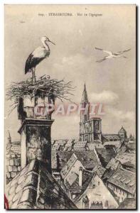 Postcard Old Strasbourg Storks Nest