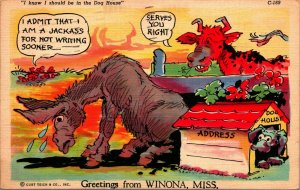 Comic Jackass For not Writing Greetings Winona Mississippi MS Linen Postcard
