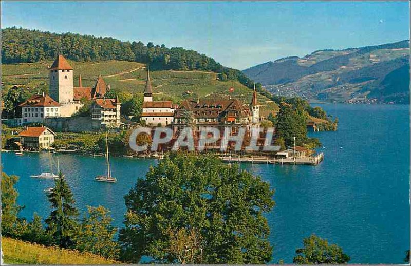 Modern Postcard Spiez am Thunersee mit Schloss