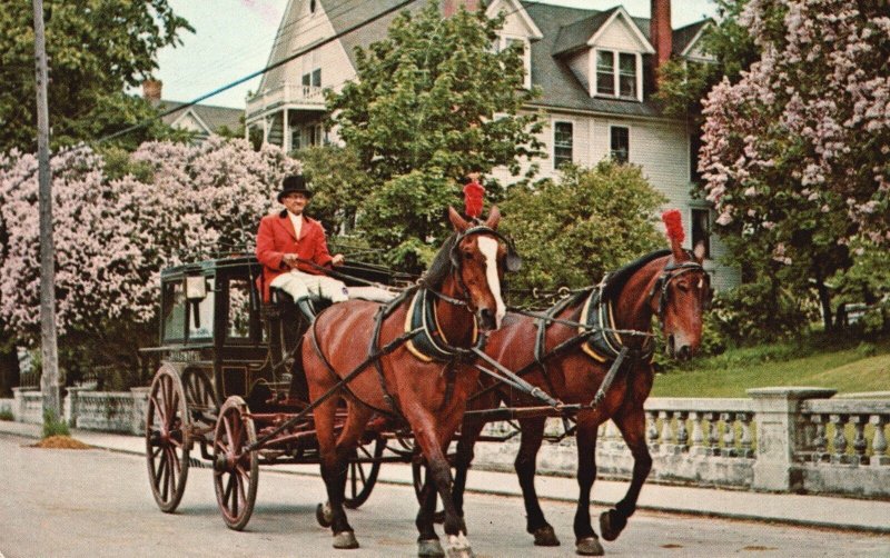 Mackinac Island MI-Michigan, lilac Festival Time Horse Cart Vintage Postcard