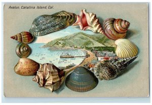 c1905's Avalon Shells Beach Passenger Ship Catalina Island California Postcard