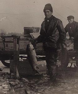 1904-1918 RPPC Fishing Fisherman Men Occupational Dock Haul Real Photo Postcard