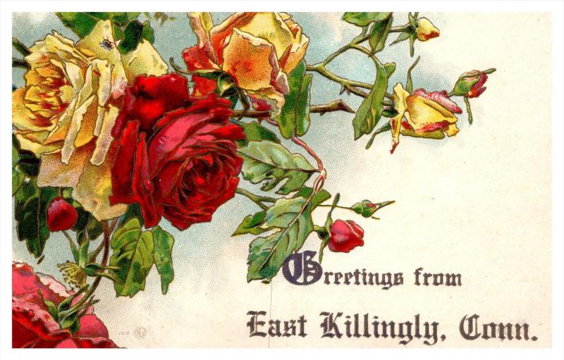 Connecticut  East Killingly , Greetings , Roses