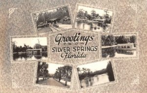RPPC GREETINGS FROM SILVER SPRINGS FLORIDA STUDIO REAL PHOTO POSTCARD (1940s)