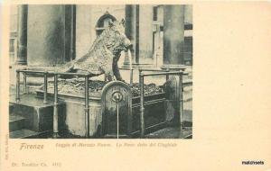 Circa 1905 Wild Boar Sulpture ITALY Undivided postcard 16813