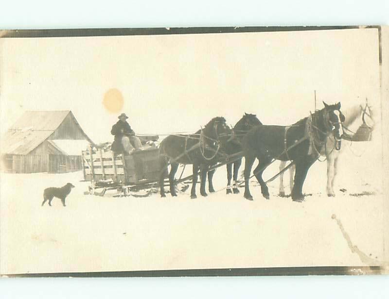 rppc Pre-1918 DOG WATCHES HORSES PULLING WAGON ON SKIS IN WINTER AC7556