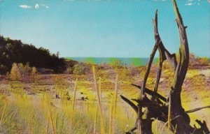 Indiana Chesterton Beach Scene At Indiana Dunes State Park