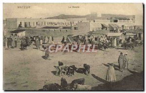 Old Postcard Mateur Le Marche