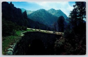 Tennessee~Loop-Over On Newfound Gap Hwy @ Great Smoky Mtn Natl Park~1950s PC