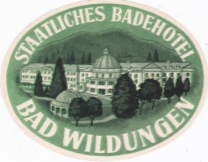 Germany Bad Wildungen Staatliches Badehotel Vintage Luggage Label sk1975