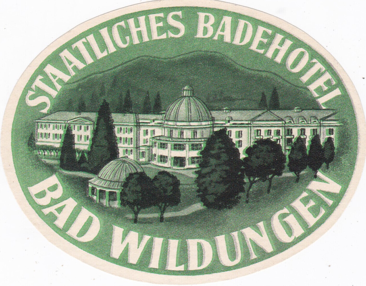 Germany Bad Wildungen Staatliches Badehotel Vintage Luggage Label