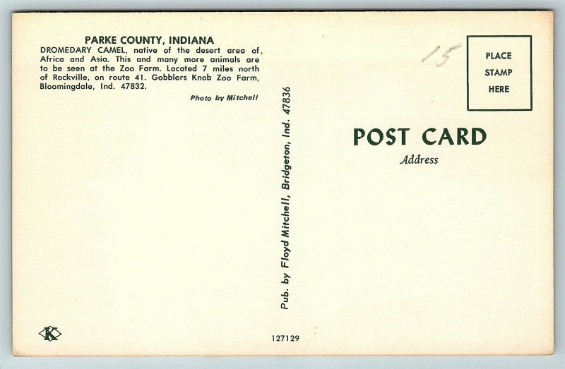 Postcard IN Bloomingdale Gobbler's Knob Zoo Farm Camel Parke County D12