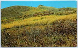 Postcard - Moffat County, Colorado, USA