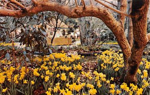 Philadelphia Flower and Garden Show Philadelphia Pennsylvania, PA