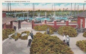 Florida Tarpon Springs Sponge At Tarpon Springs