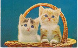 KITTENS IN BASKET