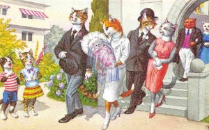 Dressed Cats Christening Baptism Baby Church Mainzer 4939 postcard