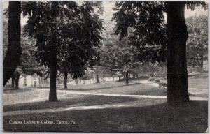 Campus Lafayette College Easton Pennsylvania Pathway Ground Trees Postcard