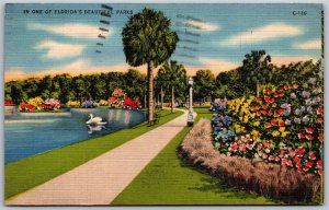 Vtg In One Of Florida's Beautiful Parks Tropical Garden Landscape 1930s Postcard