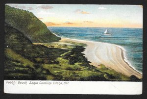 Pebbly Beach Santa Catalina Island CA Unused c1910s