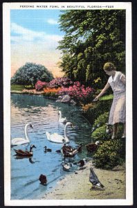 Florida Feeding Water Fowl Gulls, Pelicans, Herons and other birds - Linen