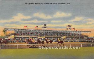 Horse Racing at Sunshine Park Oldsmar, Florida, FL, USA Horse Racing Unused 