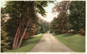 Vintage Postcard Yocum Avenue Roadside Highways Sightseeing Lenox Massachusetts