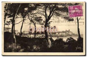 Old Postcard Antibes City View Travers has pine Corniche