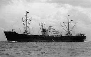 MS Coburg Real Photo Hamburg-American Line Ship 