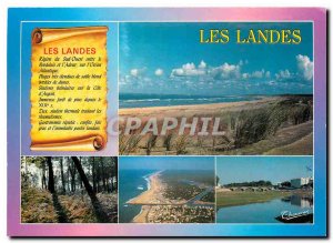 Postcard Modern Landes Cote Landaise Forest Capbreton Dax pine Hassegar