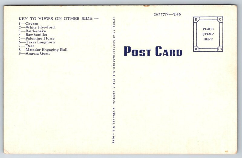 State Map~Texas Multi-View~Dalhart~Laredo~Pecos~Crockett~Cisco~Vintage Postcard